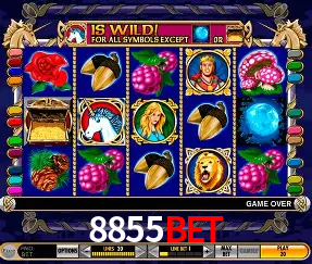 Cadastro rápido e seguro na 8855BET