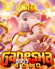8855BET.COM